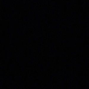 Meet your Posher, Tyra